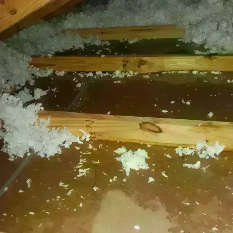 Attic Water Damage in Putnam County, IL