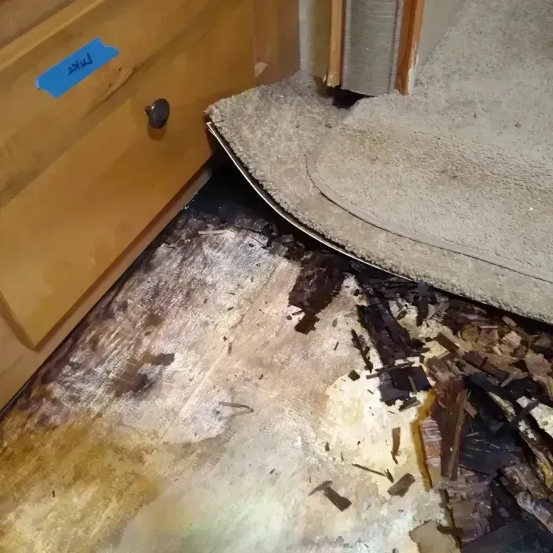 Wood Floor Water Damage in Putnam County, IL